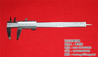 杭州游標(biāo)卡尺采購(gòu)服務(wù)至上 多圖