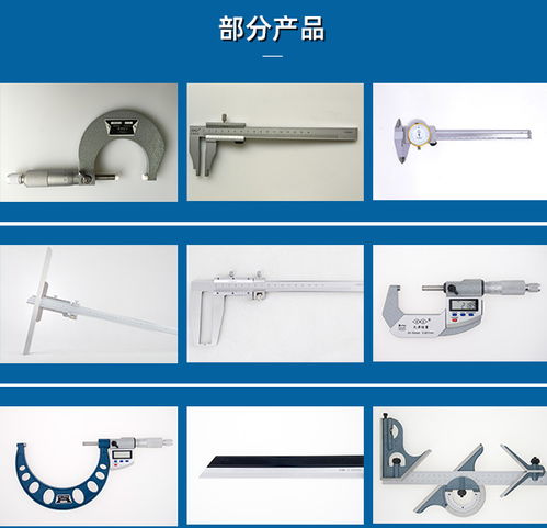 防水?dāng)?shù)顯卡尺訂購 防水?dāng)?shù)顯卡尺 天津桂量量具刃具